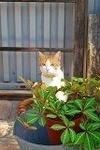 DSC_2139.jpg