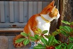 DSC_2140.jpg