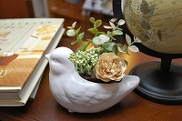 DSC_3027.jpg